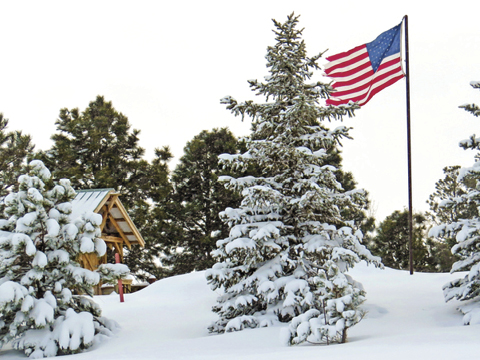 US Flag and snow